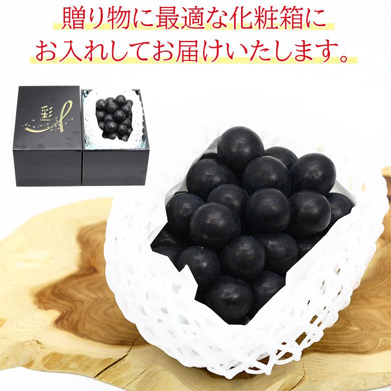 化粧箱入り ナガノパープル、ゆうほう トウモロコシ様専用
