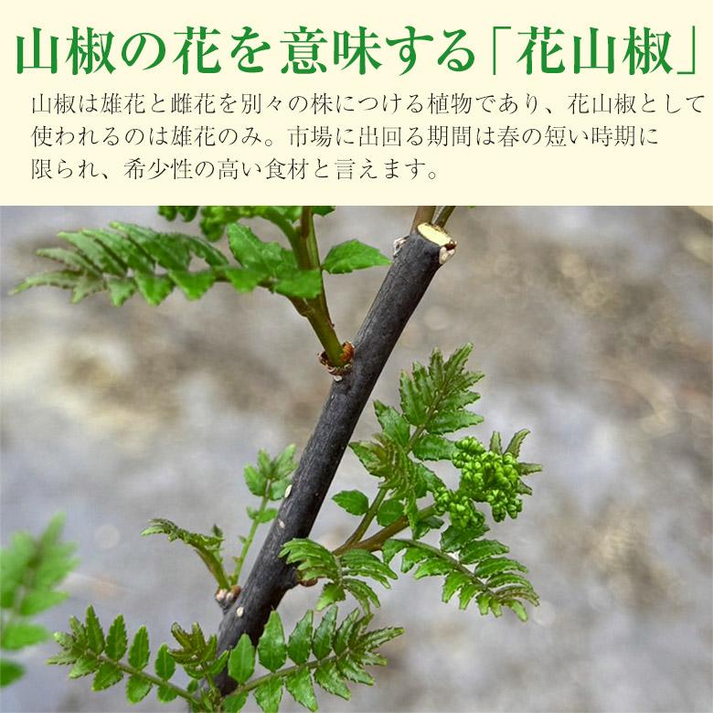 奈良県産　花山椒100g 送料無料 花山椒 約100g 産地直送 奈良県産 奈良県 奈良 サン