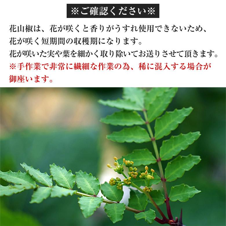 奈良県産　花山椒100g 送料無料 花山椒 約100g 産地直送 奈良県産 奈良県 奈良 サン