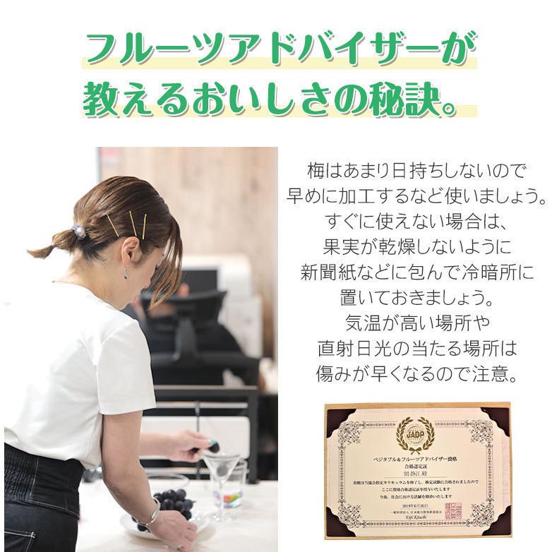 送料無料 訳あり 梅 南高梅 白加賀梅 鶯宿梅 奈良県 梅干し 梅ジュース