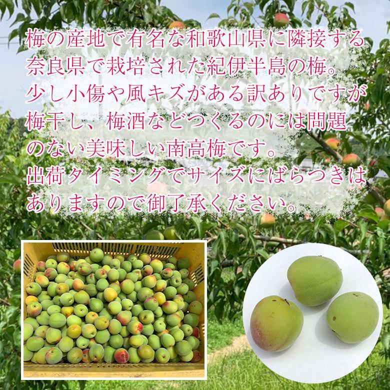 送料無料 訳あり 梅 南高梅 白加賀梅 鶯宿梅 奈良県 梅干し 梅ジュース