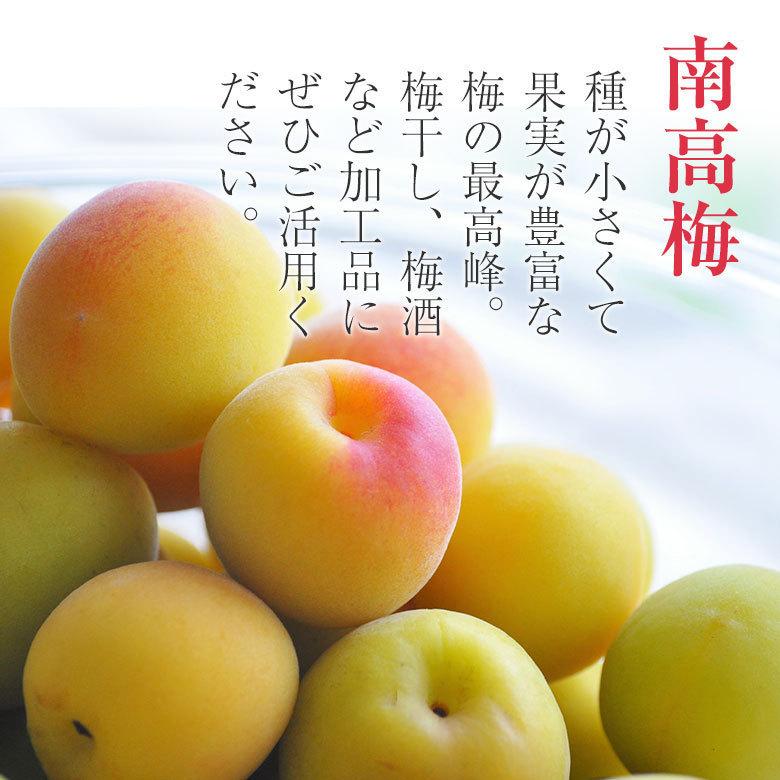 送料無料 訳あり 梅 南高梅 白加賀梅 鶯宿梅 奈良県 梅干し 梅ジュース