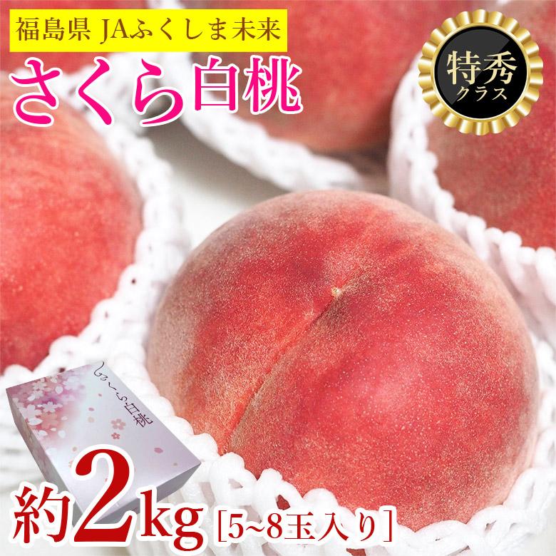 送料無料 白桃 桃 特選 約 2kg 5~8 玉入り JA ふくしま 未来 福島県 福島 もも モモ ギフト プレゼント ご自宅用 果物 ...