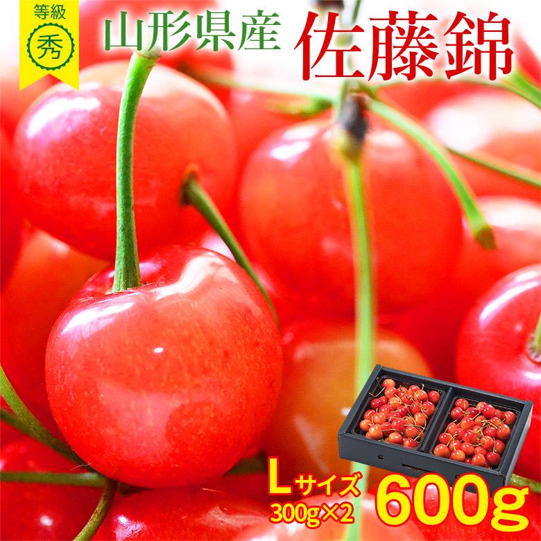 送料無料 佐藤錦 さくらんぼ 山形さくらんぼ サクランボ 佐藤錦 Lサイズ 300g × 2パック 合計 600g 産地直送 秀品 等級 秀 ギフト 贈り物 母の日 プレゼント :satounishiki-l-600g:くだもの観覧車 - 通販 - 送料無料 佐藤錦 さくらんぼ 山形さくらんぼ サクランボ 佐藤錦 Lサイズ 300g × 2パック 合計 600g 産地直送 秀品 等級 秀 ギフト 贈り物 母の日 プレゼント :satounishiki-l-600g:くだもの観覧車 - 通販 -