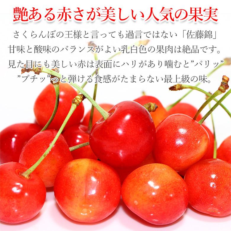 送料無料 佐藤錦 さくらんぼ 山形さくらんぼ サクランボ Lサイズ 400g