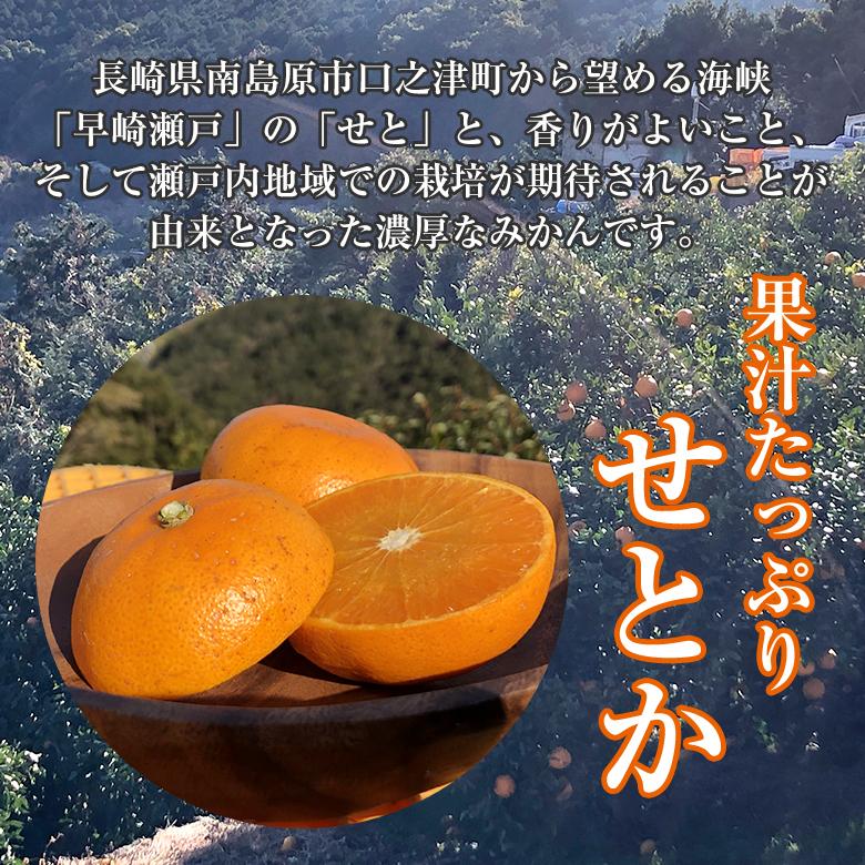 送料無料 訳あり ちょっと訳あり 家庭用 せとか 産地直送 長崎県