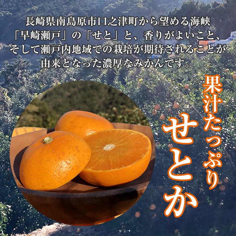 送料無料 訳あり ちょっと訳あり 家庭用 せとか 産地直送 長崎県 せとか みかん 25〜35個 5kg 長崎県産 長崎みかん  国産  国産みかん ご家庭用｜fruit27｜03