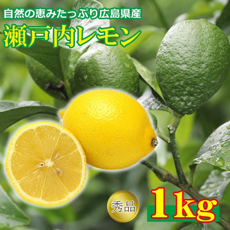 愛媛県産 瀬戸内レモン 無農薬レモン 10キロ