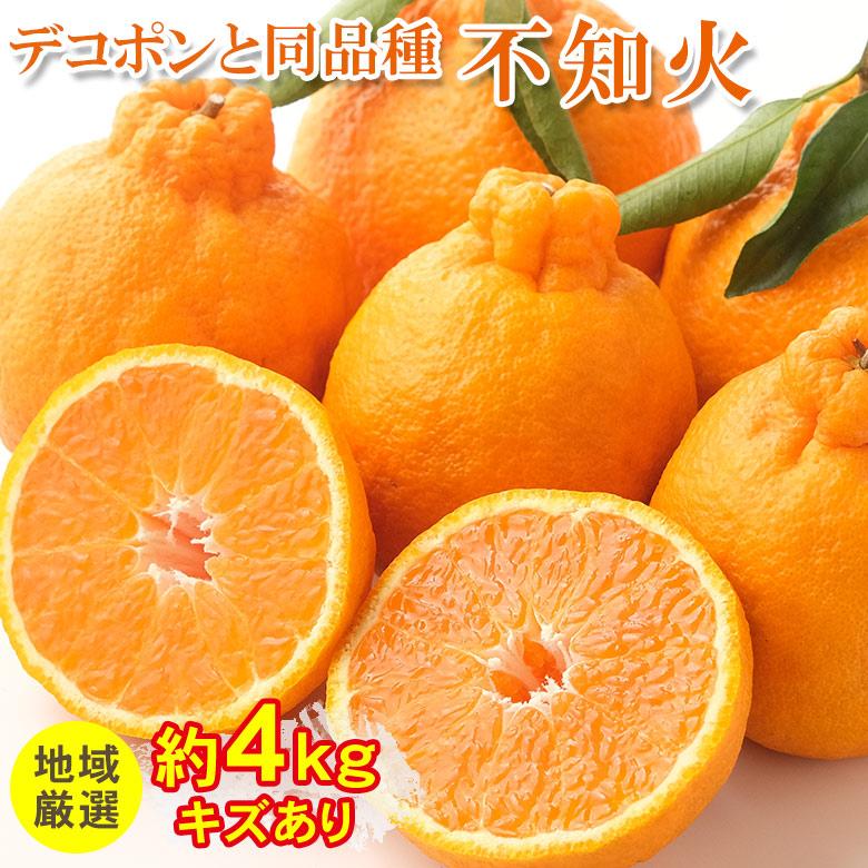 送料無料 地域厳選 デコポン でこぽん 不知火 みかん 国産 国産 送料無料 地域厳選 デコポン でこぽん 不知火 みかん 国産 国産
