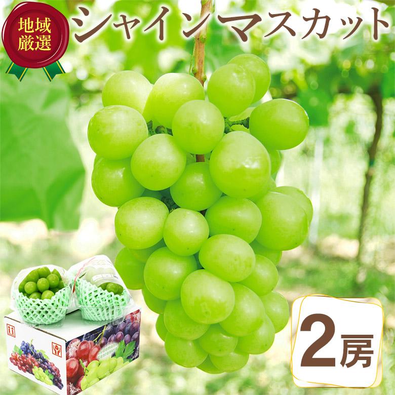 送料無料 地域厳選 シャインマスカット 化粧箱入り 2房 約650g 秀品 