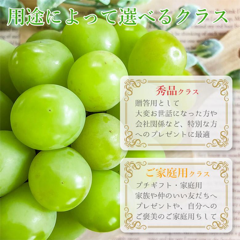 食品 ち*こ様 【岡山県産】 5kg 秀品 高級シャインマスカット 甘～い