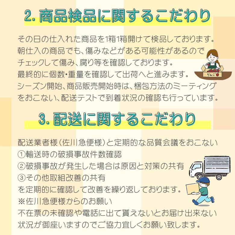 8月下旬から9月中旬期間内にご発送予定 送料無料 地域厳選 超 特大