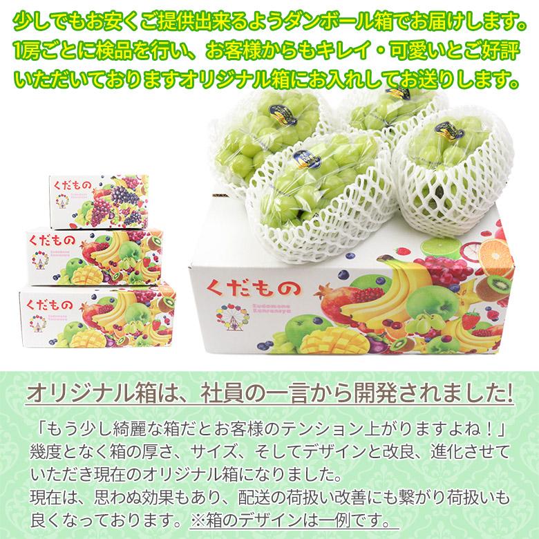 送料無料 地域厳選 超 特大 シャインマスカット 訳アリ 約 1kg 大粒 大
