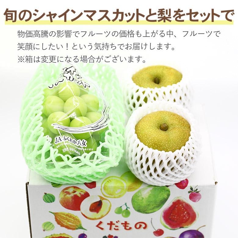 送料無料 地域厳選 シャインマスカット 1房 梨 4玉 セット 約320g 1玉