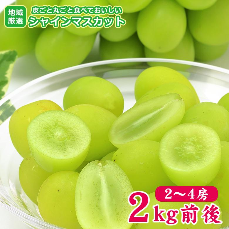 毎週更新 送料無料 地域厳選 シャインマスカット ちょっと訳あり 房数お任せ 2kg 前後 ご家庭用 マスカット ぶどう ギフト お中元 暑中見舞い 毎週更新 送料無料 地域厳選 シャインマスカット ちょっと訳あり 房数お任せ 2kg 前後 ご家庭用 マスカット ぶどう ギフト お中元 暑中見舞い