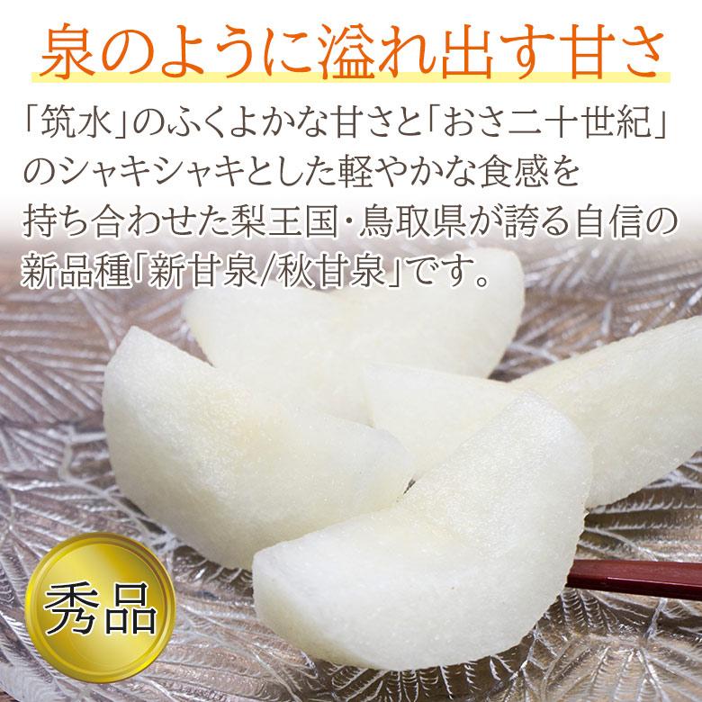 順次ご発送中 送料無料 鳥取県産 新甘泉 しんかんせん 秋甘泉 梨 中玉