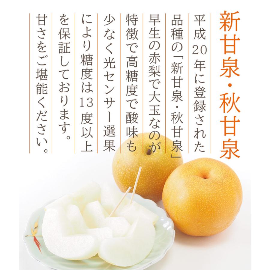 順次ご発送中 送料無料 鳥取県産 新甘泉 しんかんせん 秋甘泉 梨 大玉