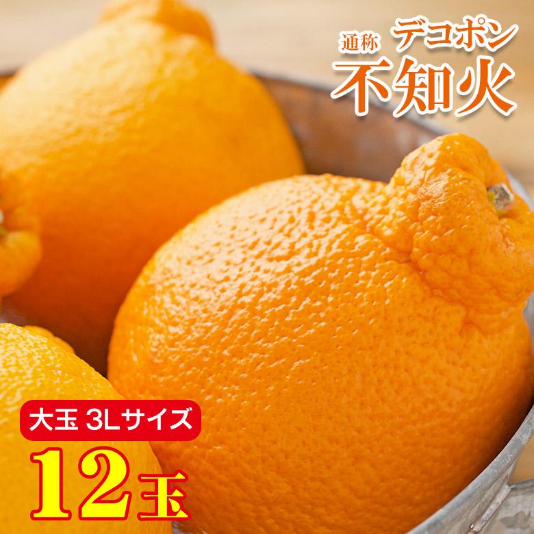 送料無料 不知火 デコポン 大玉 サイズ 3L 12玉 産地厳選 和歌山県産