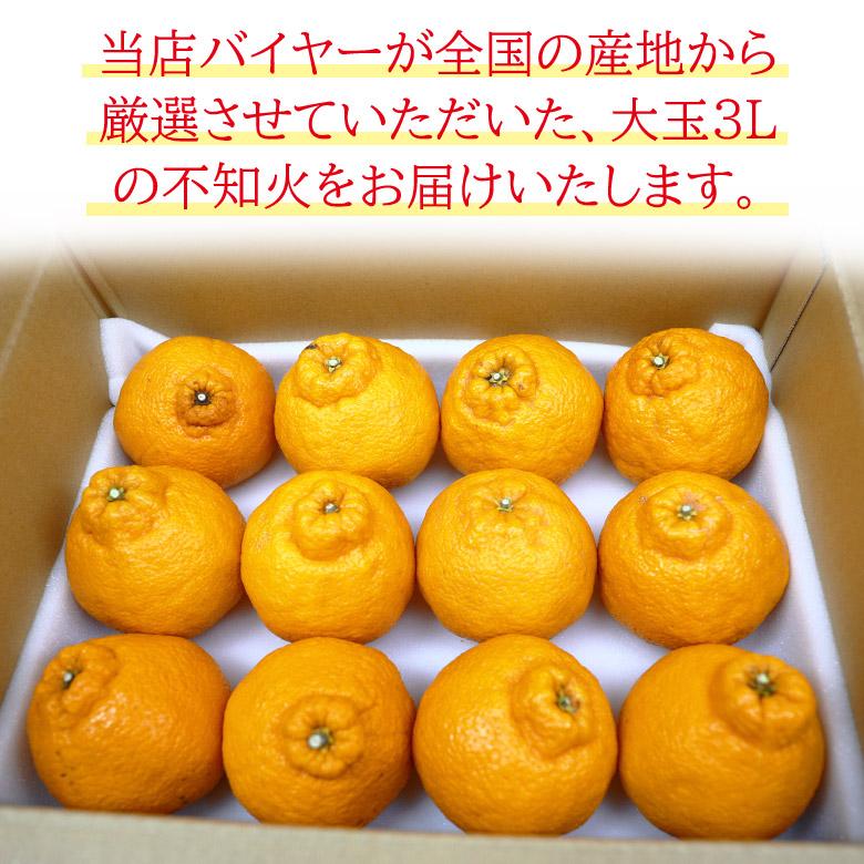 送料無料 不知火 デコポン 大玉 サイズ 3L 12玉 産地厳選 和歌山県産