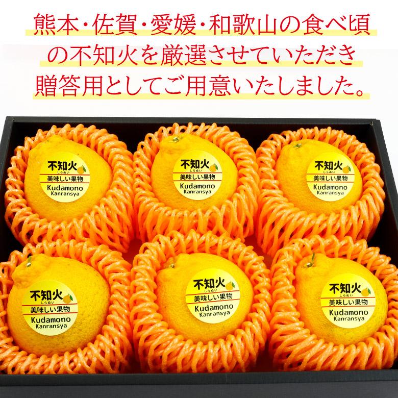 送料無料 ギフト 贈答用 不知火 デコポン サイズ 3L 大玉 6玉 和歌山県