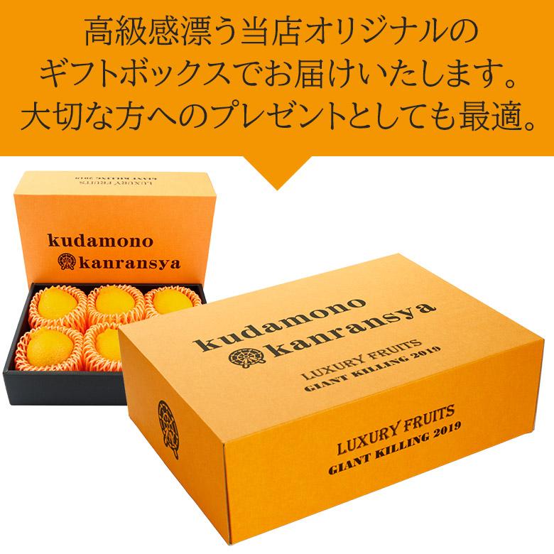 でこぽん 6個セット 送料無料 ギフト 贈答用 不知火 デコポン サイズ 3L 大玉 6玉 和歌山県