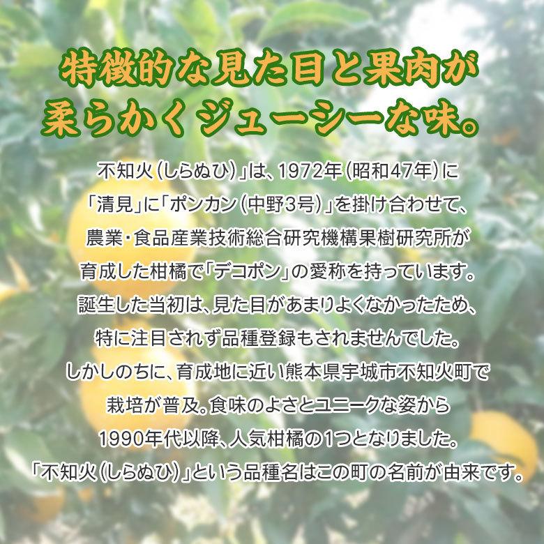 送料無料 長崎県 長崎県産 不知火 デコポン 5kg 訳あり サイズお任せ