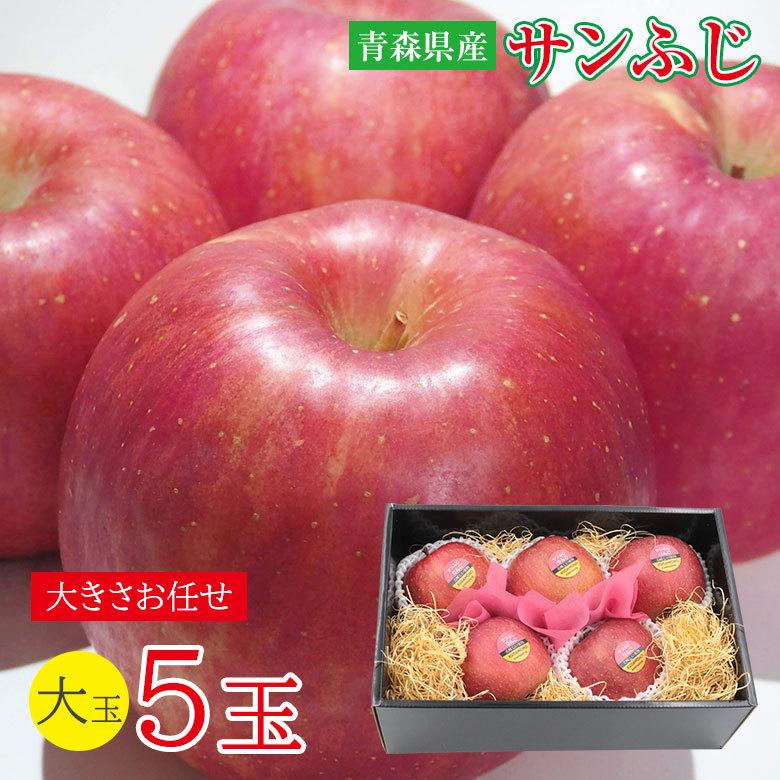 ギフト 贈答用 送料無料 青森県 青森 サンふじ ふじりんご 大玉 5玉 りんご 蜜いり りんご 蜜入りりんご 国産 国産りんご 青森りんご リンゴ 秀品 Sunfuji G 5 くだもの観覧車 通販 Yahoo ショッピング