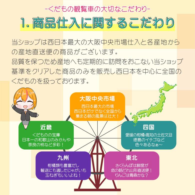 安心の自社検品 化粧箱 サンふじ ふじりんご 6玉 1玉 約 270g 前後