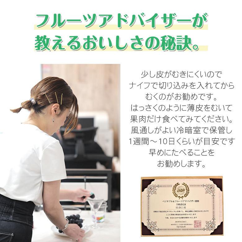 紀の川 はっさく 産地直送23キロ合計30キロ