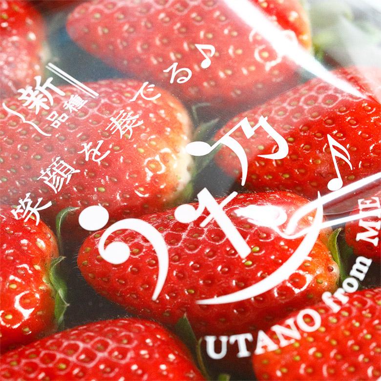 三重県産 うた乃 2パック 270g 2パック入り いちご イチゴ 苺 三重の味