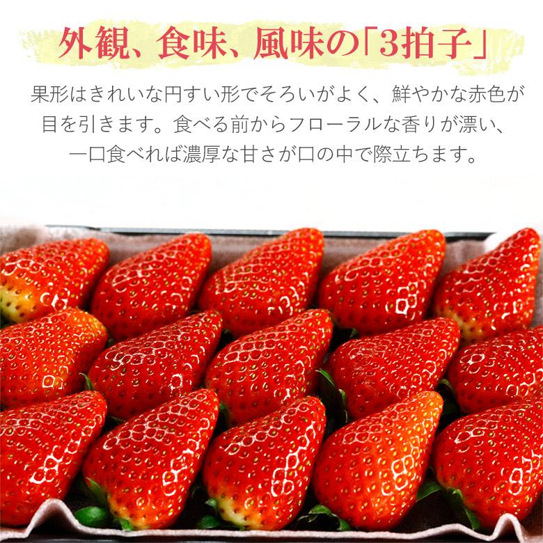 三重県産 うた乃 2パック 270g 2パック入り いちご イチゴ 苺 三重の味