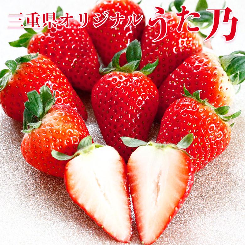 三重県産 うた乃 4パック 270g 4パック入り いちご イチゴ 苺 三重の味