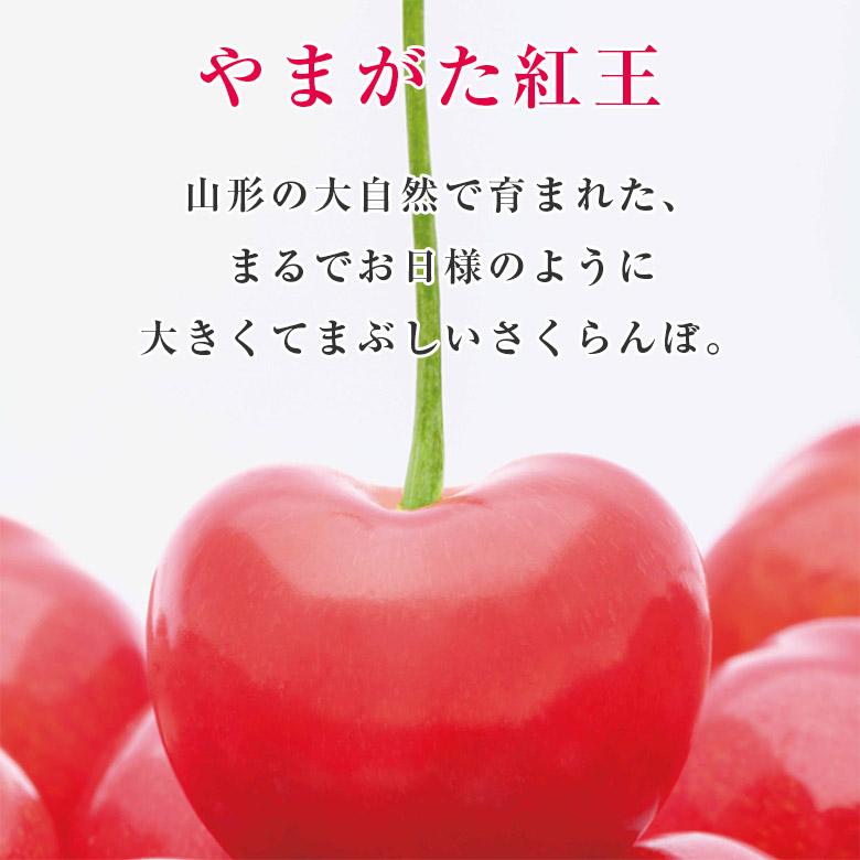 送料無料 やまがた紅王 2L 約500g さくらんぼ 山形さくらんぼ