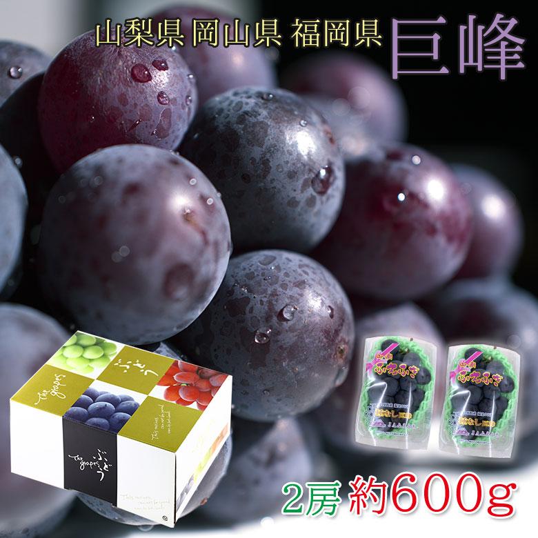 最大96 オフ 送料無料 山梨県産 巨峰 葡萄 ブドウ ぶどう 秀品 2房 約600g ハウス栽培 山梨県 ご家庭用