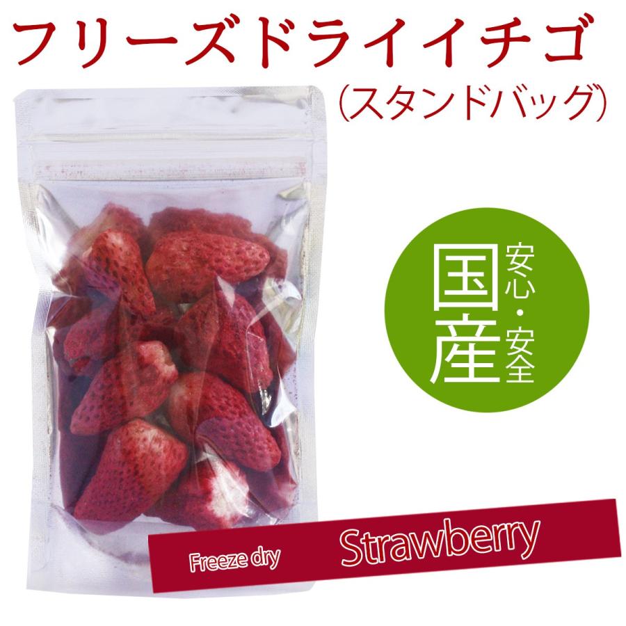 イチゴフリーズドライ スタンドバック 国産 Dry 0001 白龍湖観光農園ヤフーショップ 通販 Yahoo ショッピング
