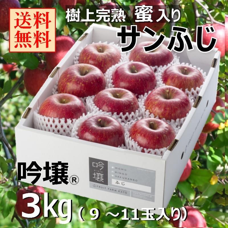 数量限定【送料無料】福島 樹上完熟蜜入り サンふじりんご  3kg箱（9〜11玉入り） 贈答品 ふくしまプライド。体感キャンペーン（果物/野菜） | 