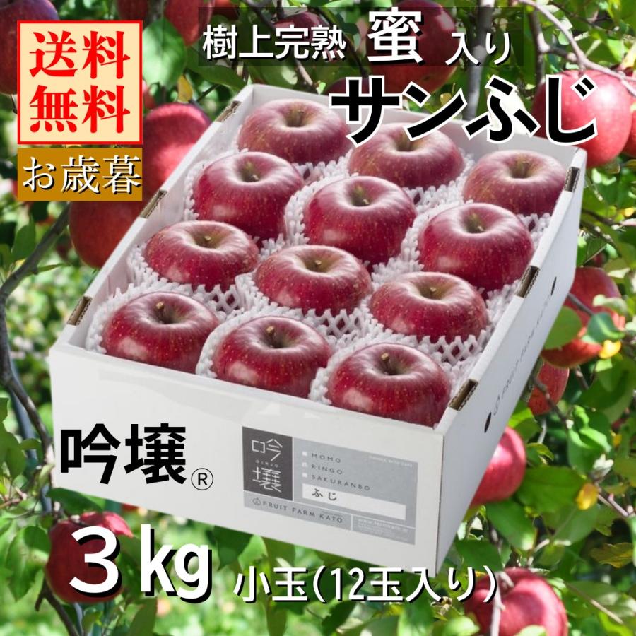 数量限定【送料無料】福島 樹上完熟蜜入り サンふじりんご  小玉サイズ　3kg箱（12玉入り） 贈答品 ふくしまプライド。体感キャンペーン（果物/野菜） | 
