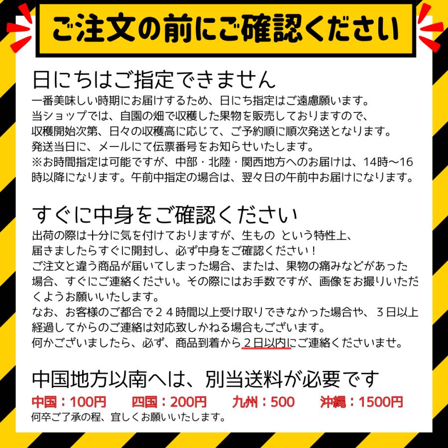 数量限定【送料無料】福島 樹上完熟蜜入り サンふじりんご  小玉サイズ　3kg箱（12玉入り） 贈答品 ふくしまプライド。体感キャンペーン（果物/野菜） |  | 03