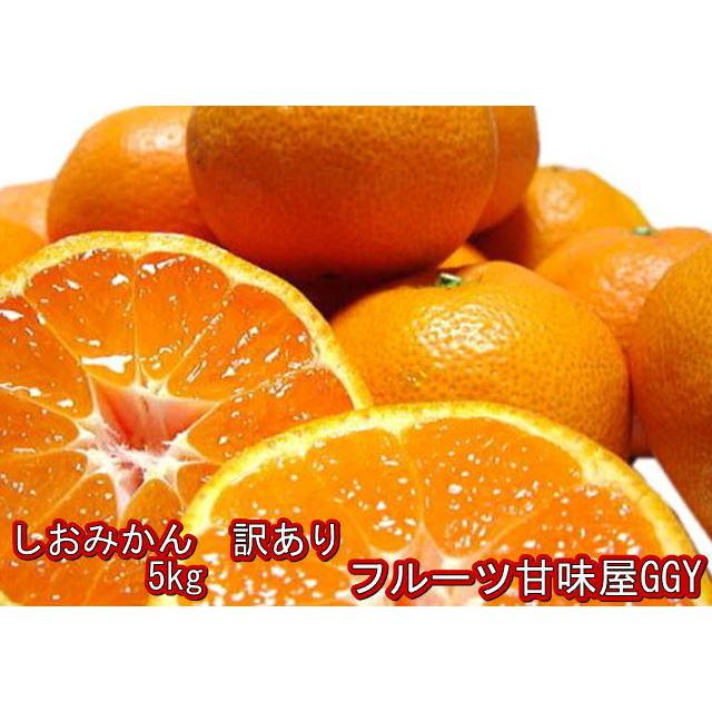 しおみかん 訳あり １箱５ｋｇ 味に自信 熊本産 甘くておいしい グルメ 熊本みかん みかん 塩みかん 甘いみかん 80サイズ 格安 価格でご提供いたします