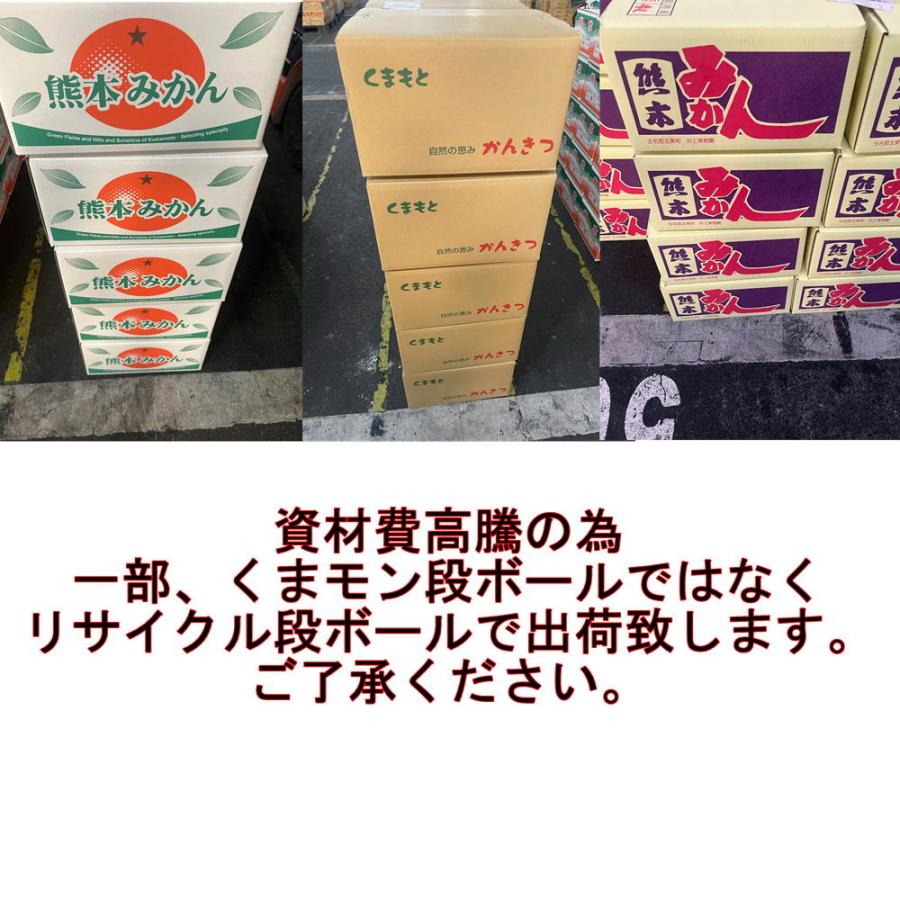 みかん 訳あり 箱込10キロ （9kg＋保証分500g） 熊本産 フルーツ