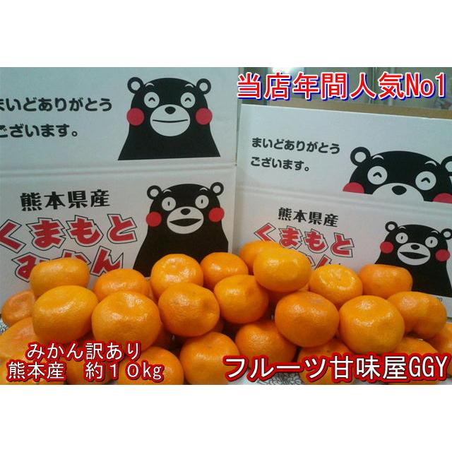 みかん 訳あり 箱込10キロ （9kg＋保証分500g） 熊本産 フルーツ