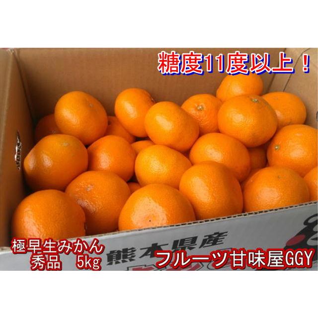 極早生みかん　秀品　１箱5kg　サイズL・M・S　熊本産　フルーツ　グルメ　80サイズ｜fruitkanmiya-ggy