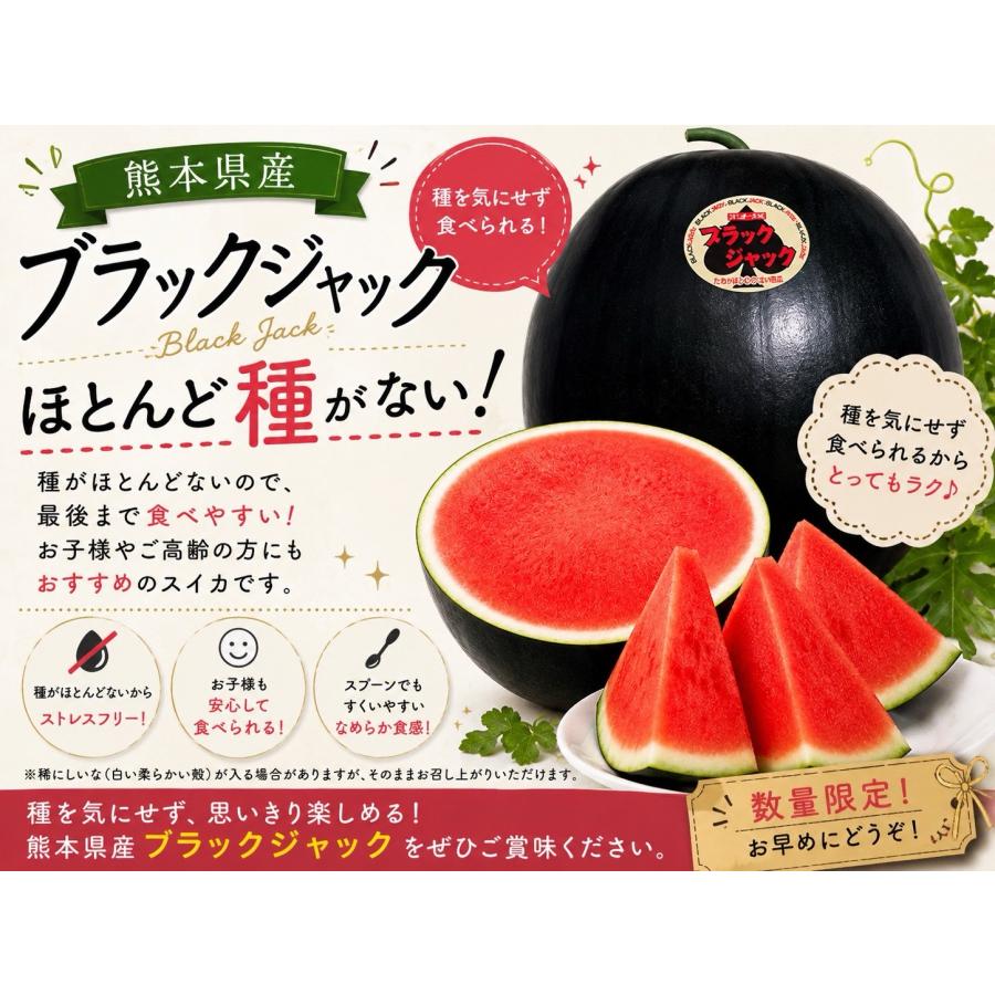 種なしスイカ ブラックジャック 1玉 約8キロ以上 超大玉 熊本産 TV