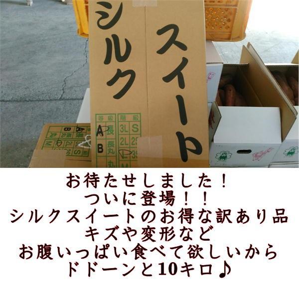 268.数量限定.お買い得さつまいもシルクスイート訳あり　加工用　箱込み10kg シルクスイート 蔵出し 訳あり 箱込10キロ（9kg+保証分500g