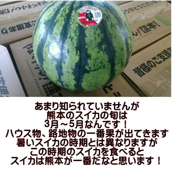 超大玉すいか 訳あり 8キロオーバー 大玉限定！ スイカ すいか