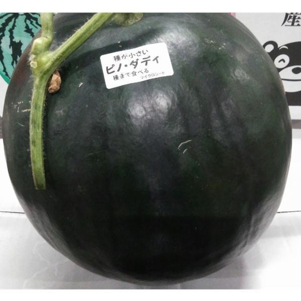 超大玉すいか 訳あり 8キロオーバー 大玉限定！ スイカ すいか 西瓜