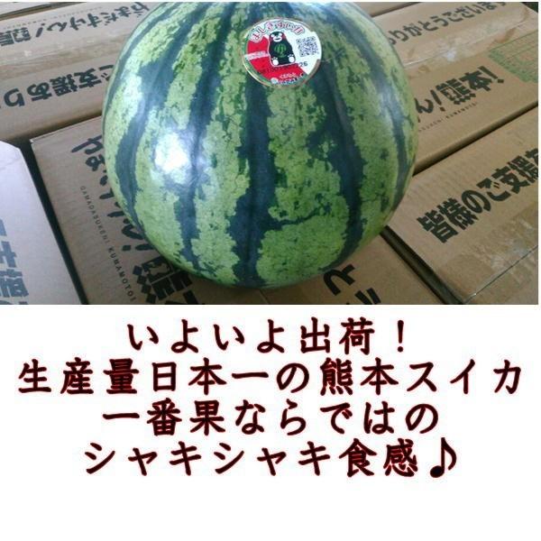 すいか 訳あり サイズS(約4キロ)スイカ 西瓜 熊本産 1玉入り すいか 訳あり サイズS(約4キロ)スイカ 西瓜 熊本産 1玉入り