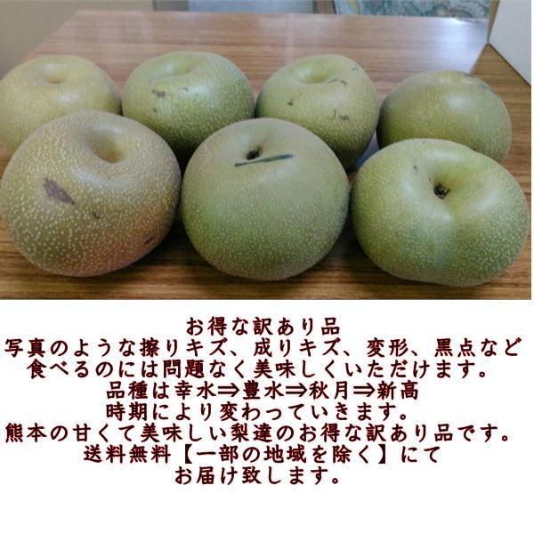 梨　訳あり（豊水・秋月・新高・愛宕など）約5ｋｇ（約5〜24玉）熊本産　梨　ナシ　なし｜fruitkanmiya-ggy｜02