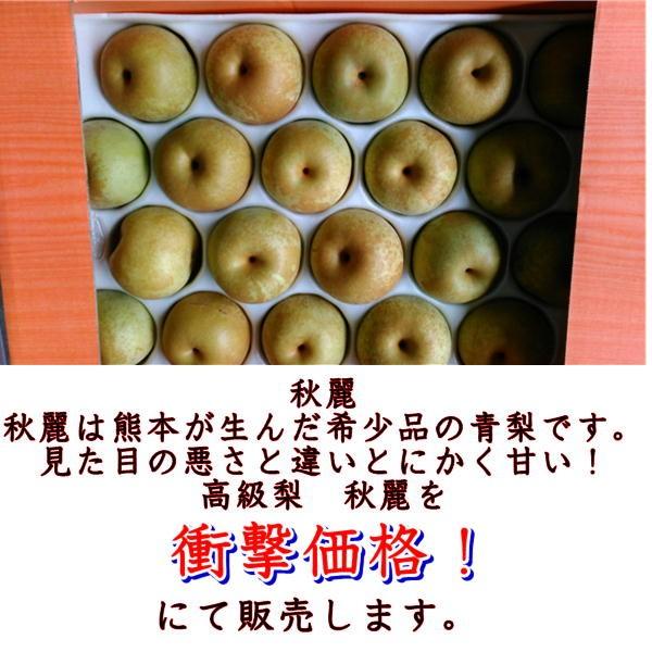 秋麗梨 訳あり 約4.5キロ（約8〜24玉）希少品！ 熊本産 秋麗 なし ナシ