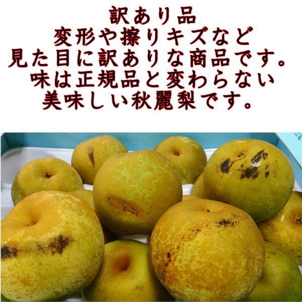 秋麗梨 訳あり 約4.5キロ（約8〜24玉）希少品！ 熊本産 秋麗 なし ナシ